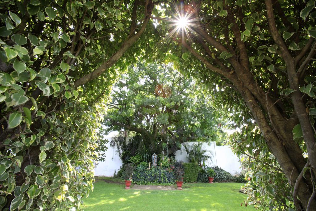 Villa Bejar Cuernavaca Exteriör bild